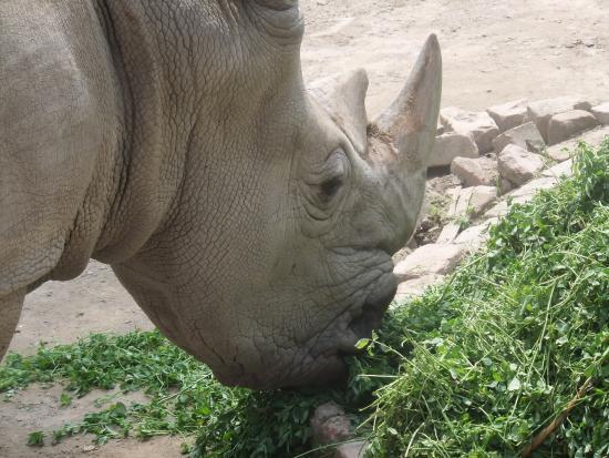 Lahore Zoo